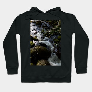 Taggerty Cascades #4 Hoodie